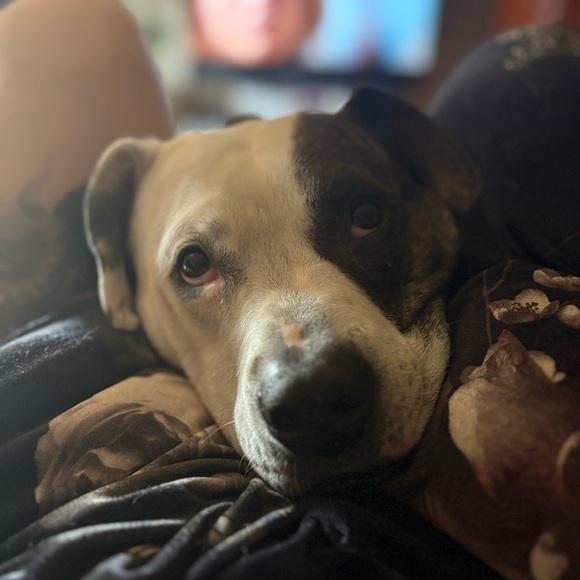 Meet your Posher, Brittney - Picture 2 of 16